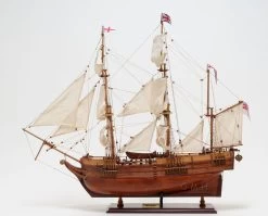 Beagle Ship By Old Modern Handicrafts